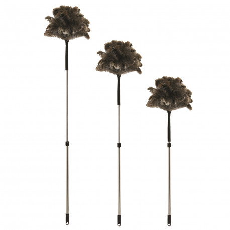 Plumeaux avec manche télescopique