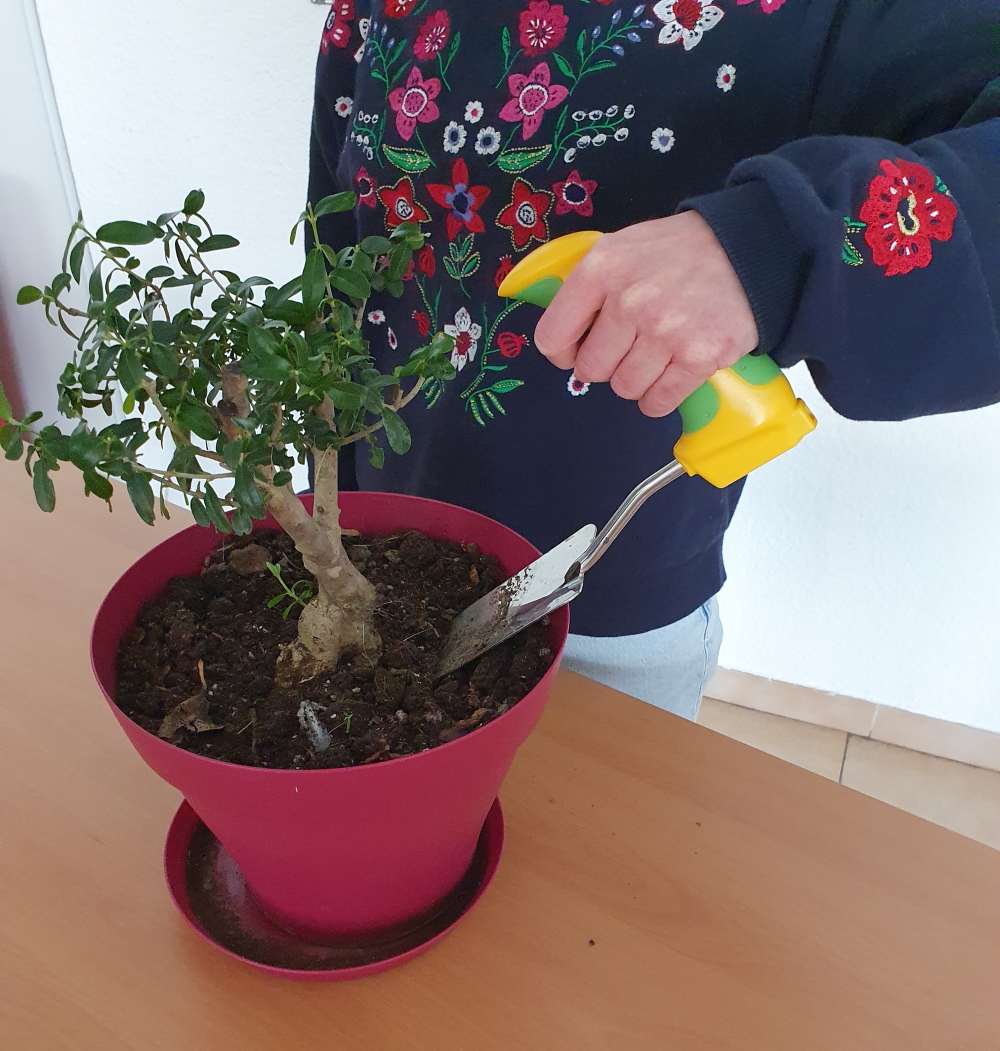 outil de jardinage avec poignée ergonomique