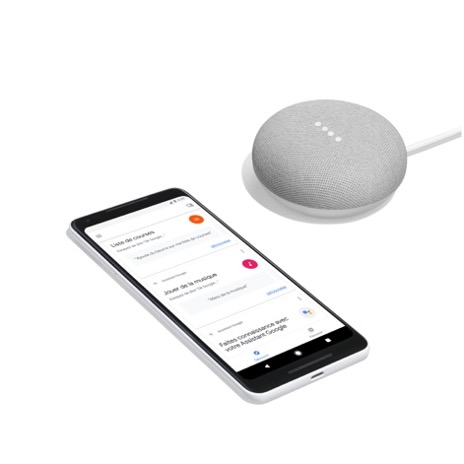 téléphone portable posé à côté d'un galet filaire d'une marque d'assistant vocal